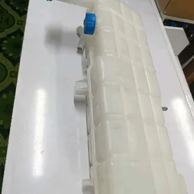 Raşşitelni baçok