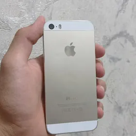 iPhone 5s