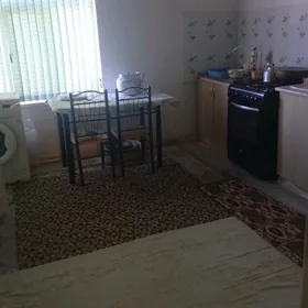 şatlyk jay şor garadamak