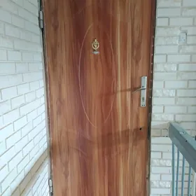 Железная дверь