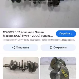infiniti maksima zapcas