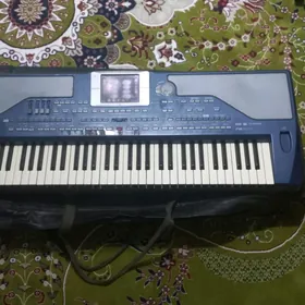 Kork pa 800