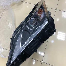 Fara Rx Fsport 21-22