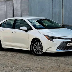 Toyota Corolla 2020