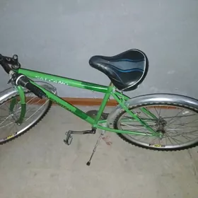 TIGIR  TURKMENISTAN