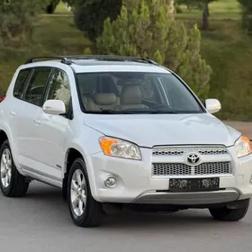 Toyota RAV4 2010