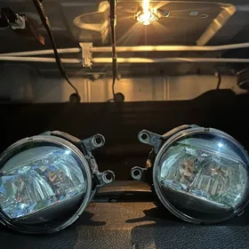 led tumannik