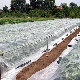 Agrovalokno