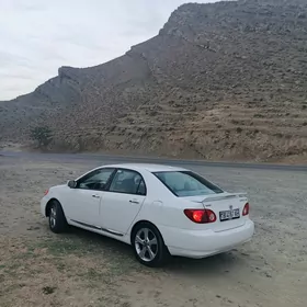 Toyota Corolla 2007