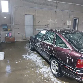 Opel Vectra 1994