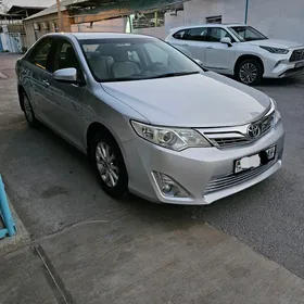 Toyota Camry 2013