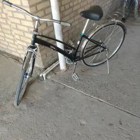 tigir 27 lyk