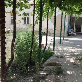 хитровка 6 соток