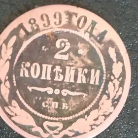 монета