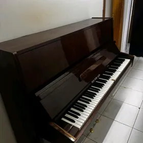 piano pianino piyanin
