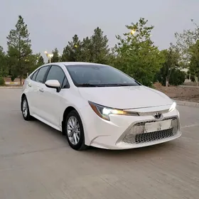 Toyota Corolla 2020