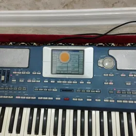 KORG PA 800