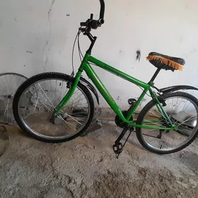 tigir 26