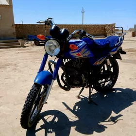 Fekon FK150-8G 2015
