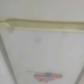 holedilik