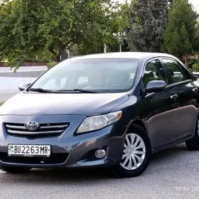 Toyota Corolla 2010