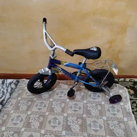 caga Tigir