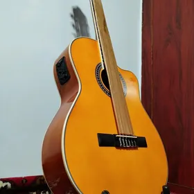 Solo elektro gitara гитара