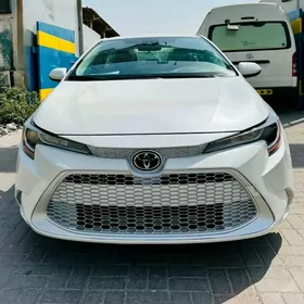 Toyota Corolla 2020