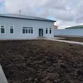 Satlyk Daca