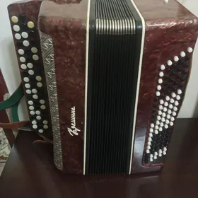 баян