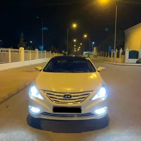 Hyundai Sonata 2010