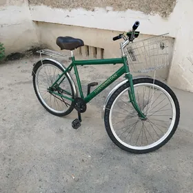 Turkmenistan tigir