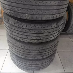 225 60 17 4şt Kapsen