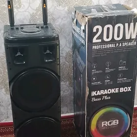 Kalonka Ulusy, 200W, 2mikrafon