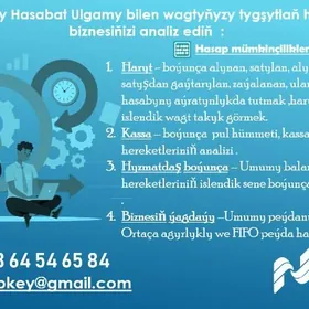 TÄJIR akylly hasap programmasy