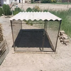 Towyk  Ketek