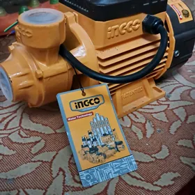 Nasos