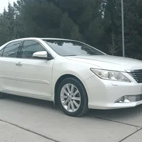 Toyota Aurion 2013