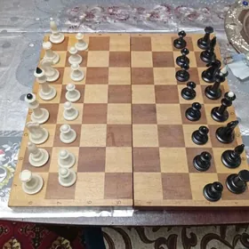 шахматы.