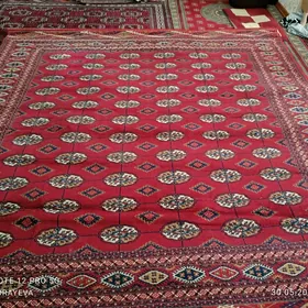 haly iran 3×3