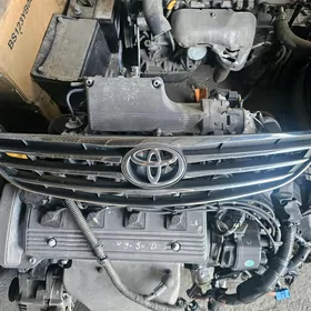 2005 Duty camry on obilsowka
