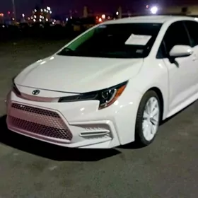 Toyota Corolla 2021