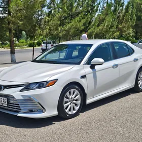 Toyota Camry 2019