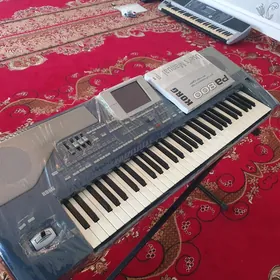 Toý aparat KORG Pa 800