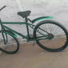 Turkmenistan tigir