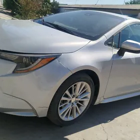 Toyota Corolla 2023