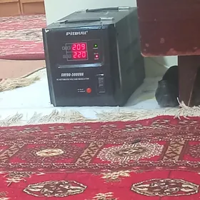 tok kopeldilyan 2sany