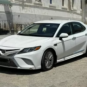 Toyota Camry 2020