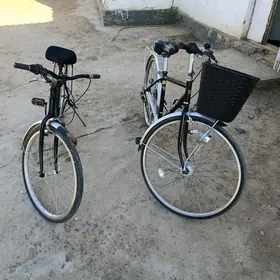27lik velik