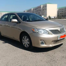 Toyota Corolla 2011